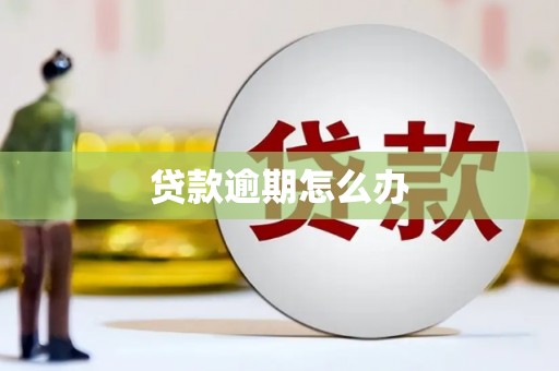 雨山贷款逾期怎么办