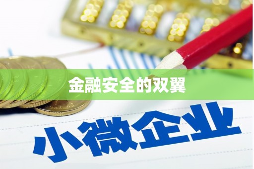 雨山金融安全的双翼