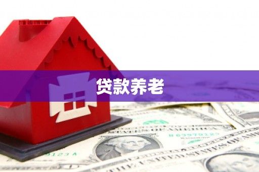 雨山贷款养老