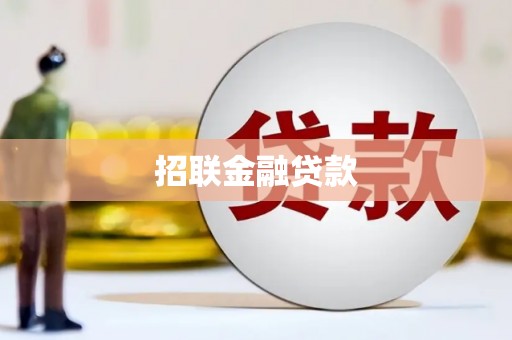 雨山招联金融贷款