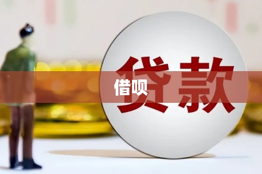 雨山借呗
