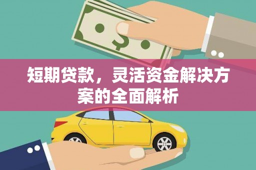 雨山短期贷款，灵活资金解决方案的全面解析