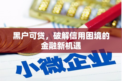 雨山黑户可贷，破解信用困境的金融新机遇