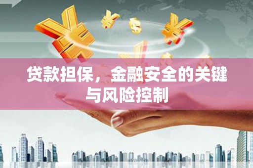 雨山贷款担保，金融安全的关键与风险控制