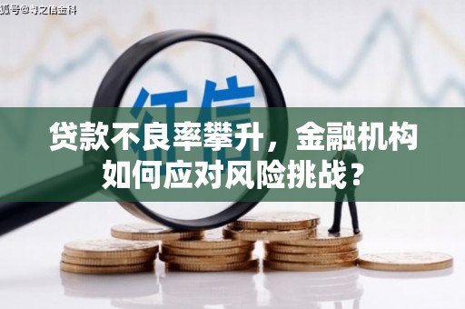 雨山贷款不良率攀升，金融机构如何应对风险挑战？