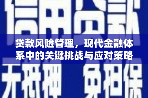 雨山贷款风险管理，现代金融体系中的关键挑战与应对策略