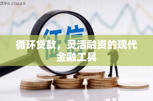 雨山循环贷款，灵活融资的现代金融工具