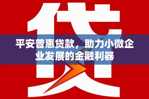雨山平安普惠贷款，助力小微企业发展的金融利器
