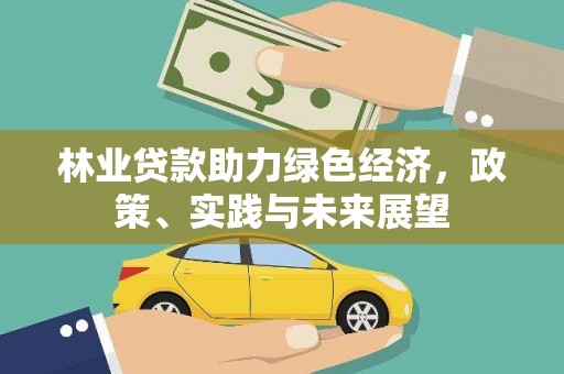 雨山林业贷款助力绿色经济，政策、实践与未来展望