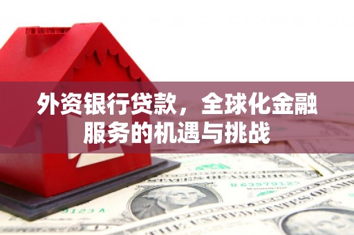 雨山外资银行贷款，全球化金融服务的机遇与挑战