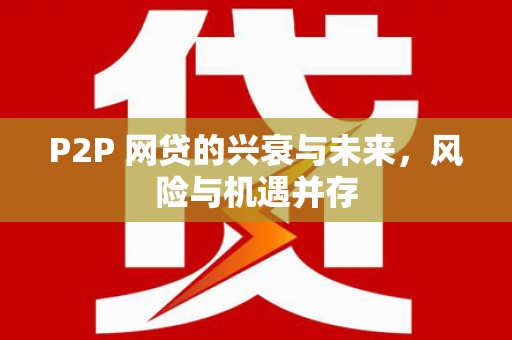 雨山P2P 网贷的兴衰与未来，风险与机遇并存