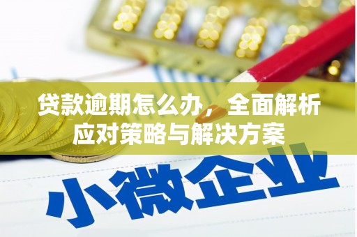 雨山贷款逾期怎么办，全面解析应对策略与解决方案