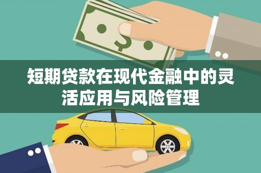 雨山短期贷款在现代金融中的灵活应用与风险管理