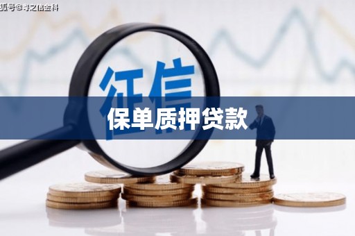 雨山保单质押贷款