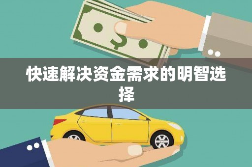 雨山快速解决资金需求的明智选择