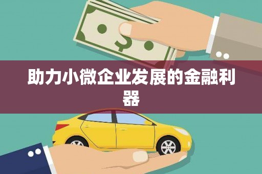 雨山助力小微企业发展的金融利器