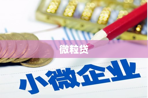 雨山微粒贷