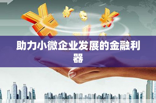 雨山助力小微企业发展的金融利器