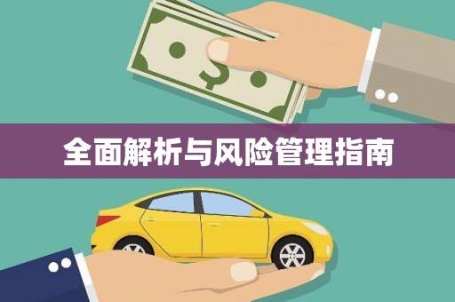 雨山全面解析与风险管理指南
