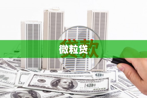 雨山微粒贷