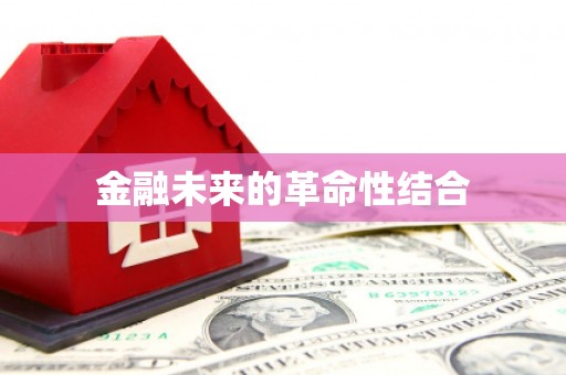 雨山金融未来的革命性结合