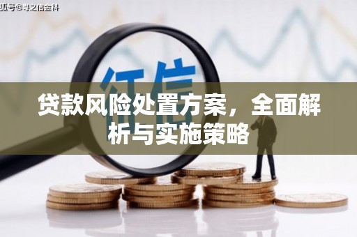 雨山贷款风险处置方案，全面解析与实施策略