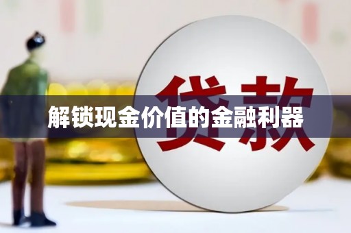 雨山解锁现金价值的金融利器