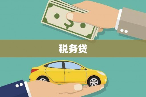雨山税务贷