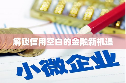 雨山解锁信用空白的金融新机遇