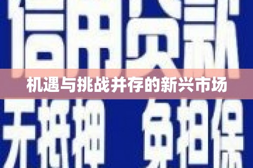 雨山机遇与挑战并存的新兴市场