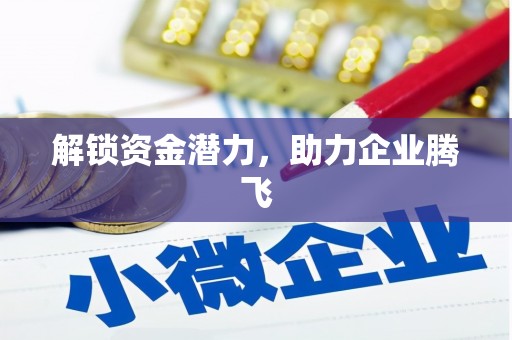 雨山解锁资金潜力，助力企业腾飞