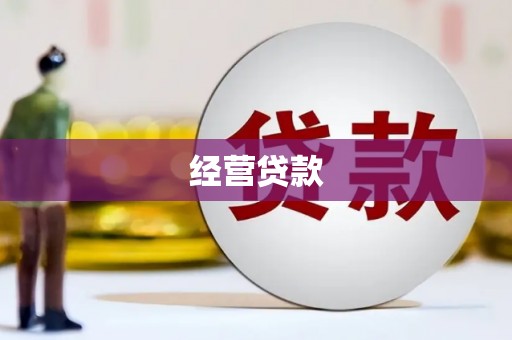 雨山经营贷款