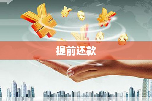雨山提前还款