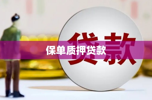 雨山保单质押贷款