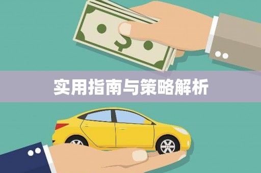雨山实用指南与策略解析