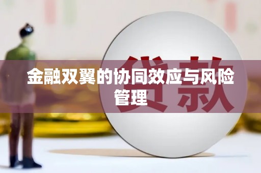 雨山金融双翼的协同效应与风险管理