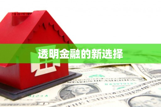 雨山透明金融的新选择