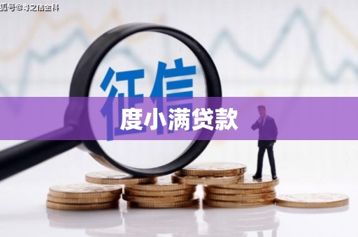 雨山度小满贷款