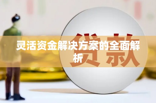 雨山灵活资金解决方案的全面解析