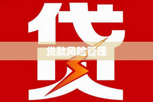 雨山贷款风险管理