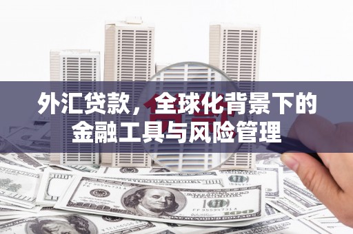 雨山外汇贷款，全球化背景下的金融工具与风险管理
