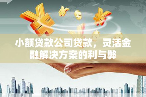 雨山小额贷款公司贷款，灵活金融解决方案的利与弊