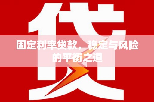 雨山固定利率贷款，稳定与风险的平衡之道
