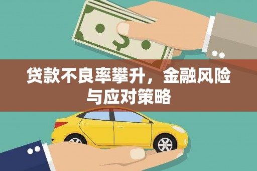 雨山贷款不良率攀升，金融风险与应对策略