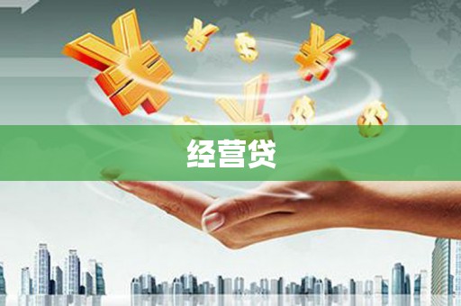 雨山经营贷