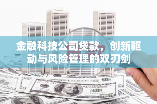 雨山金融科技公司贷款，创新驱动与风险管理的双刃剑