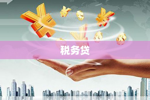 雨山税务贷