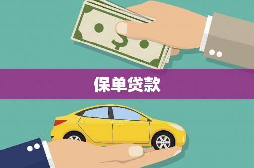 雨山保单贷款